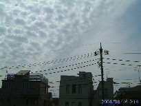 in Tokyo 2004.6.16 09:14 (enlarg. 39)