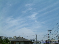 in Tokyo 2004.7.21 11:58  (enlarg. 11)