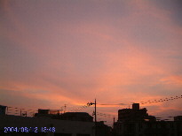 in Tokyo 2004.8.12 18:46 k (enlarg. 94)
