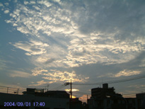 in Tokyo 2004.9.1 17:40 k (enlarg. 49)