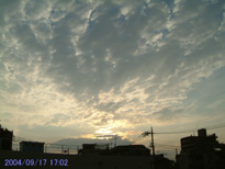 in Tokyo 2004.9.17 17:02  (k) (enlarg. 97)
