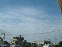 in Tokyo 2004.11.13 12:41 k (k) (enlarg. 93)