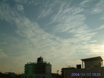 in Tokyo 2004.11.17 15:25 쐼 (enlarg. 70)