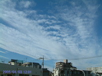 in Tokyo 2005.1.3 12:01 k (enlarg. 87)