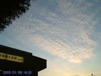 in Tokyo 2005.1.8 16:35 쐼 (enlarg. 42)