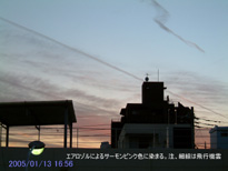 in Tokyo 2005.1.13 16:56 쐼 (enlarg. 26)