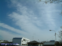 in Tokyo 2005.1.14 12:57 쓌̋ gѕˏO_