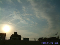 in Tokyo 2005.1.24 15:40  (enlarg. 55)