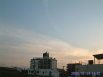 in Tokyo 2005.1.24 16:40 쐼 (enlarg. 70)