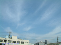in Tokyo 2005.1.25 12:27 k() (enlarg. 04)