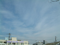 in Tokyo 2005.2.5 12:57  (k) (enlarg. 01)