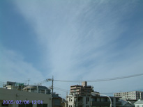 in Tokyo 2005.2.6 12:01 k (enlarg. 11)