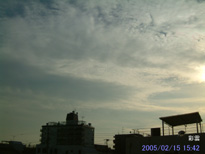 in Tokyo 2005.2.15 15:42 쐼 (enlarg. 07)