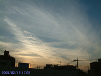 in Tokyo 2005.2.15 17:05  (k) (enlarg. 36)