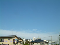 in Tokyo 2005.2.15 13:28 k (enlarg. 88)