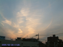 in Tokyo 2005.2.28 17:28 k () (enlarg. 11)