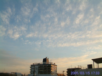 in Tokyo 2005.3.15 17:33 쐼 (enlarg. 95)