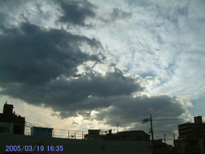 in Tokyo 2005.3.19 16:35  (k) (enlarg. 05)