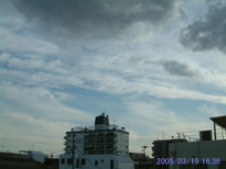 in Tokyo 2005.3.19 16:36 쐼 (enlarg. 07)