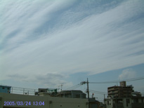 in Tokyo 2005.3.24 13:04 (2/2) k (enlarg. 26)