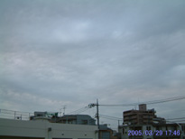 in Tokyo 2005.3.29 17:46 k (enlarg. 72)
