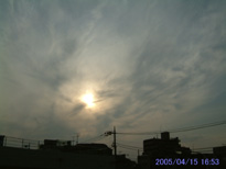 in Tokyo 2005.4.15 16:53 k (enlarg. 15)