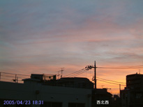 in Tokyo 2005.4.23 18:31 k (enlarg. 18)