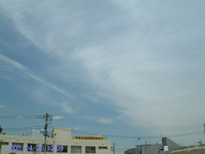 in Tokyo 2005.4.23 12:09 k (enlarg. 50)
