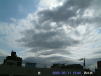 in Tokyo 2005.5.11 15:44 (enlarg. 28)