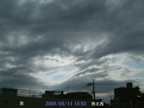 in Tokyo 2005.5.11 15:53  (k)(enlarg. 43)