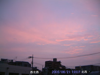 in Tokyo 2005.6.21 19:07 k(enlarg. 18)