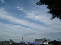 in Tokyo 2005.7.31 17:19 쓌(enlarg. 75)