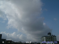 in Tokyo 2005.8.1 07:53 쐼 (enlarg. 31)