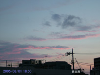 in Tokyo 2005.8.1 18:50 k (enlarg. 65)