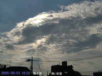 in Tokyo 2005.8.1 16:52 k (enlarg. 87)