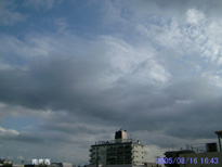 in Tokyo 2005.8.16 16:43 쐼 (enlarg. 02)