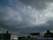 in Tokyo 2005.8.16 16:43 쐼 (enlarg. 03)