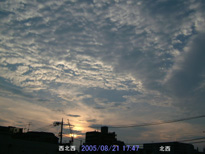 in Tokyo 2005.8.21 17:47 k (enlarg. 24)