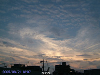 in Tokyo 2005.8.21 18:07 k (enlarg. 37)