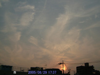 in Tokyo 2005.8.29 17:27 k (enlarg. 29)