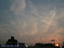 in Tokyo 2005.8.29 17:46  (enlarg. 57)