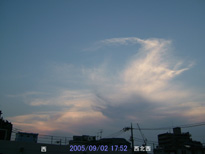in Tokyo 2005.9.2 17:52 k (enlarg. 99)