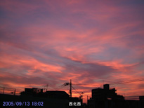 in Tokyo 2005.9.13 18:02 k (enlarg. 14)