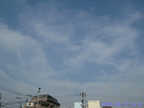 in Tokyo 2005.9.13 14:12 k (enlarg. 24)