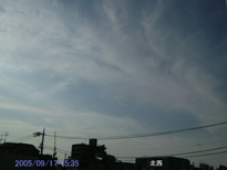 in Tokyo 2005.9.17 15:35 k (enlarg. 11)