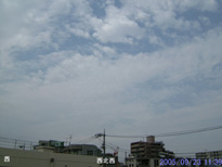 in Tokyo 2005.9.23 11:39 k (enlarg. 36)
