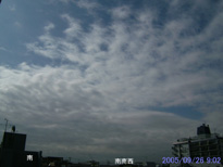 in Tokyo 2005.9.26 09:02 쐼 (enlarg. 44)