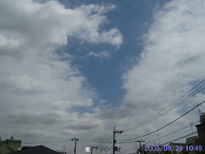 in Tokyo 2005.9.26 10:49  (enlarg. 97)