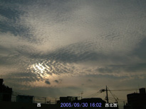 in Tokyo 2005.9.30 16:02  (enlarg. 75)
