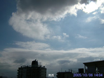 in Tokyo 2005.10.6 14:04 쐼 (enlarg. 30)